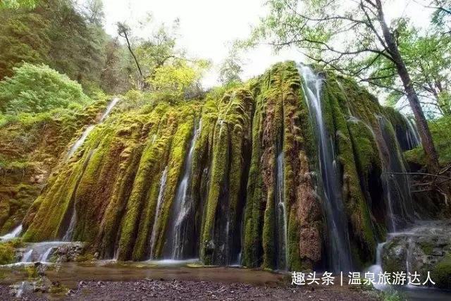 蓝狐视频