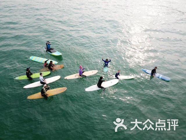 救援深海动物